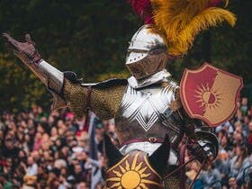 Texas Renaissance Grounds home performer