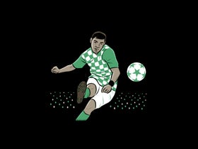 Republic of Ireland Football Team