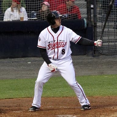 Promotional image of Richmond Flying Squirrels