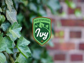 Richmond Ivy