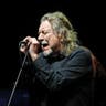 Robert Plant image