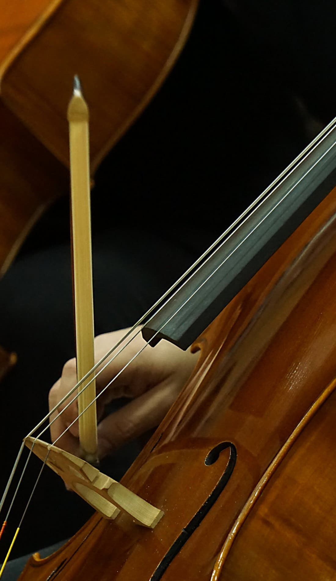 Rockford Symphony Orchestra promotional image for upcoming events and ticket sales