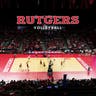Rutgers Scarlet Knights Womens Volleyball