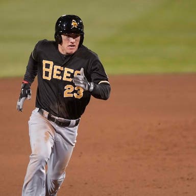 Promotional image of Salt Lake Bees