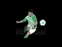 Home team image