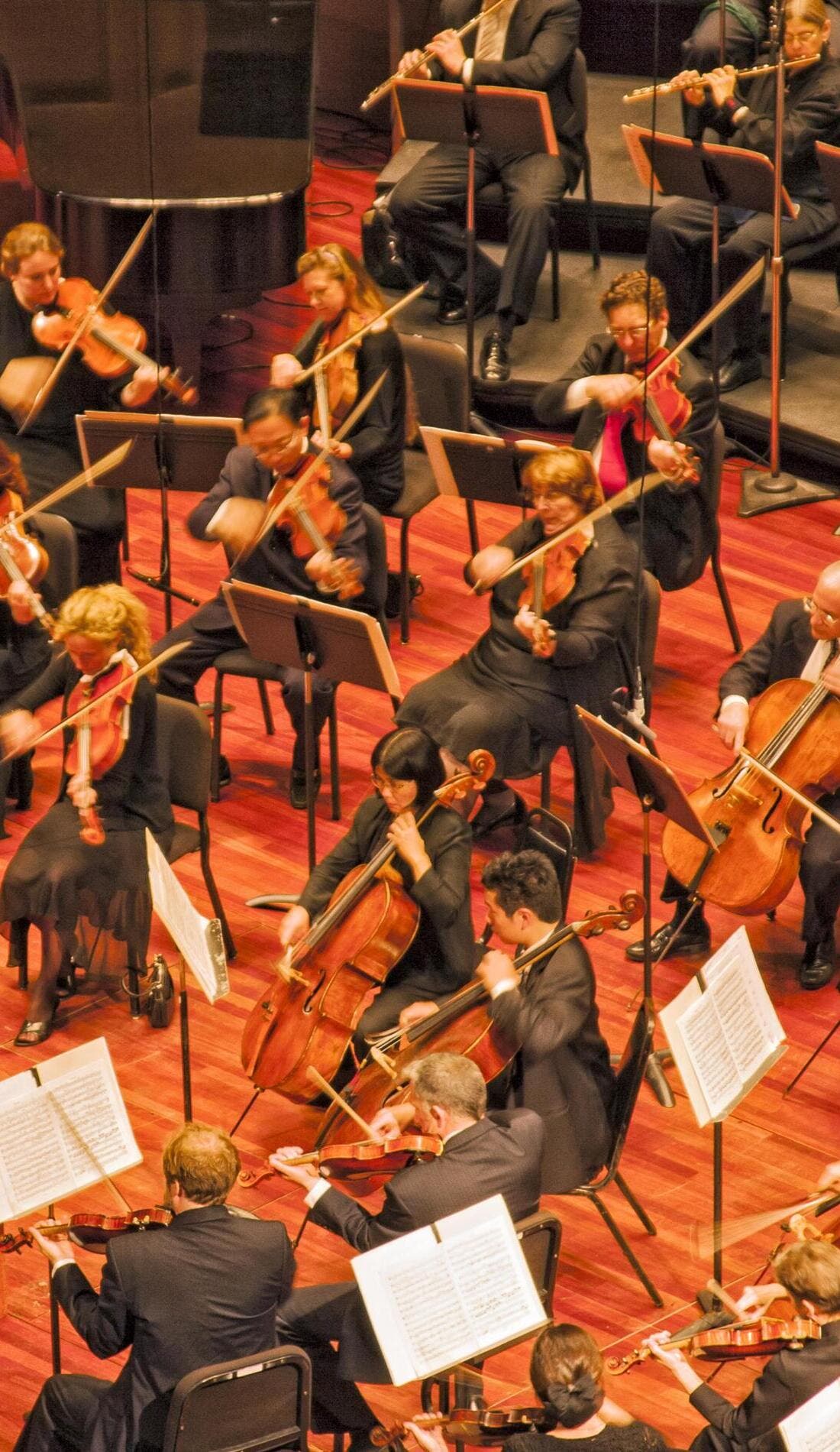 San Diego Symphony image promotionnelle pour les événements à venir et la vente de billets en San Diego