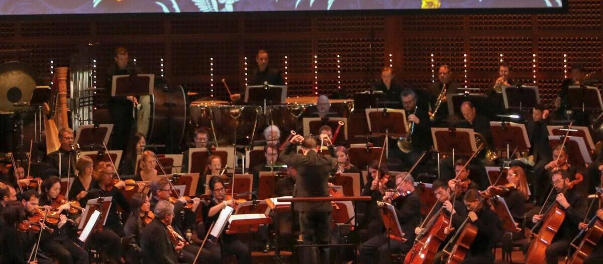 San Francisco Symphony - Louise M. Davies Symphony Hall