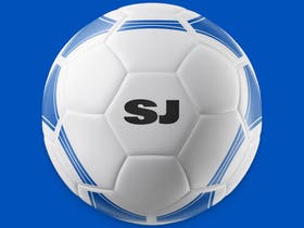San Jose Earthquakes
