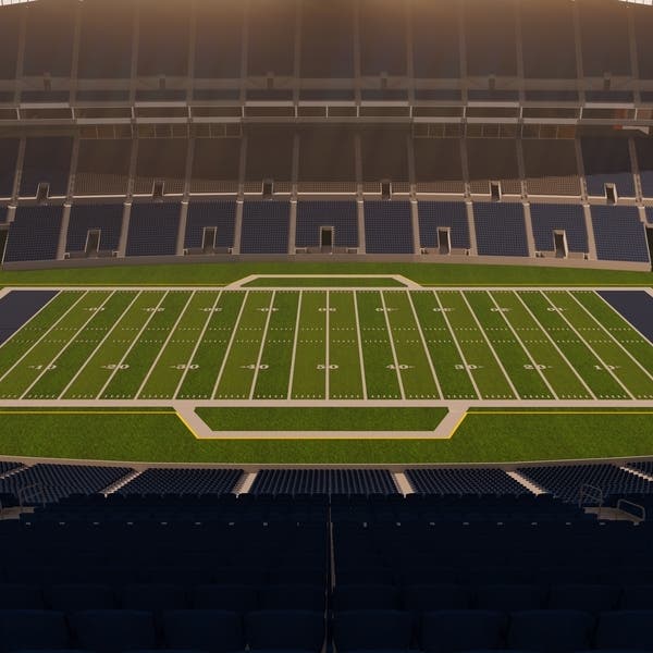 Promotional image of Seattle Seahawks