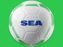 Home team image