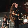 Shadows Fall image