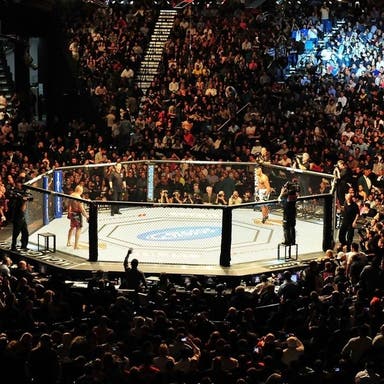 Promotional image of Shamrock FC Mixed Martial Arts
