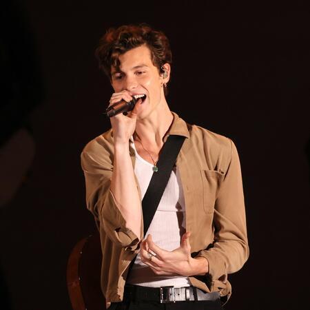 ショーンメンデス　ライブチケット SHAWN MENDES THE TOUR Verified Tickets | eplus - Japan most