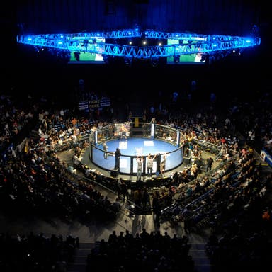 Promotional image of Shogun Fights