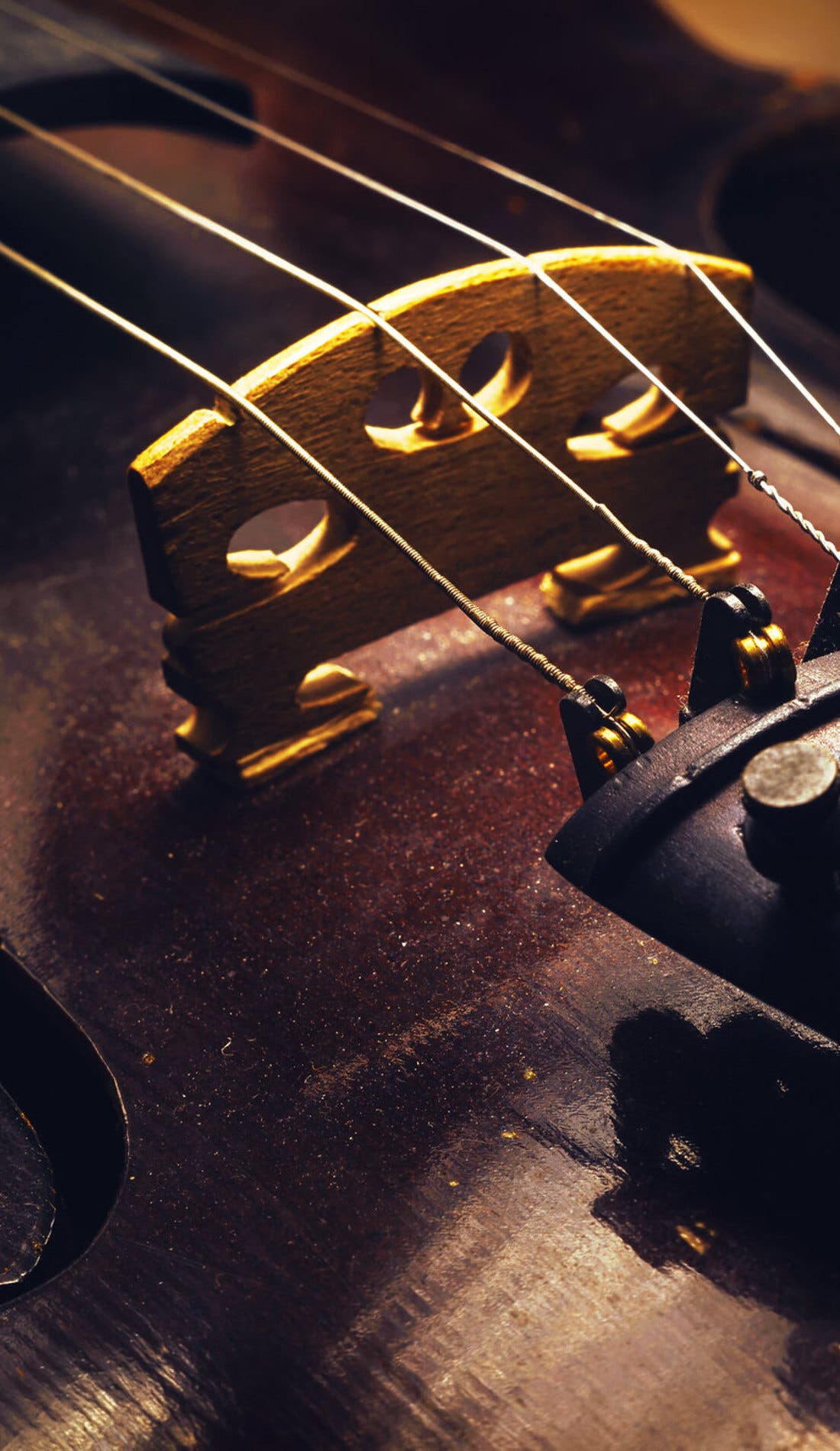 Sibelius Symphony promotional image for upcoming events and ticket sales