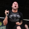 Silverstein image