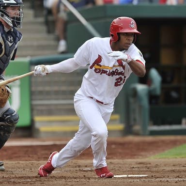 Promotional image of Springfield Cardinals