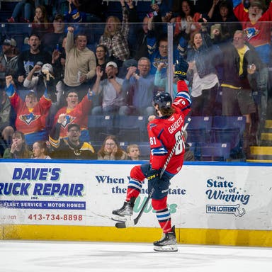 Springfield Thunderbirds Tickets 