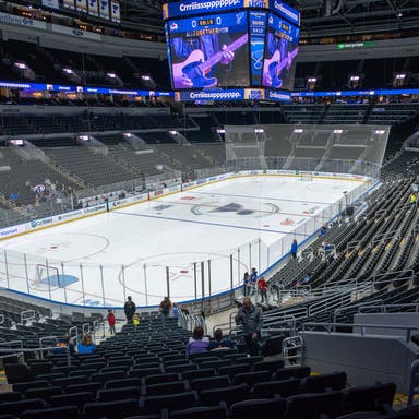 Promotional image of St. Louis Blues