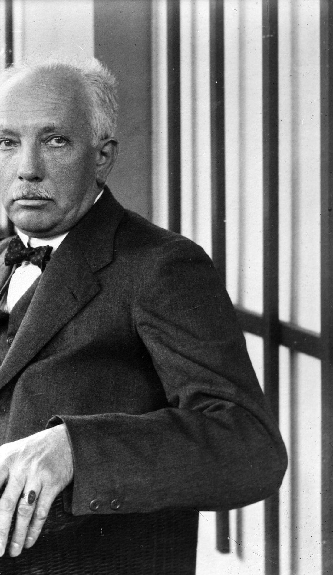 Strauss promotional image for upcoming events and ticket sales