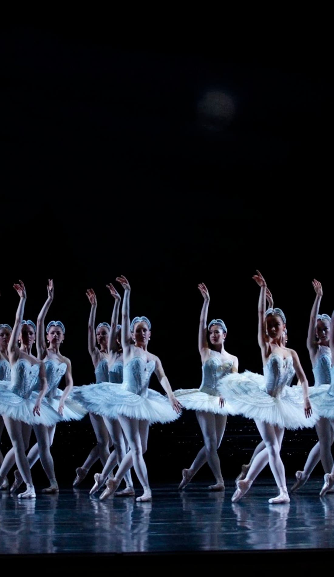 Swan Lake promotional image for upcoming events and ticket sales
