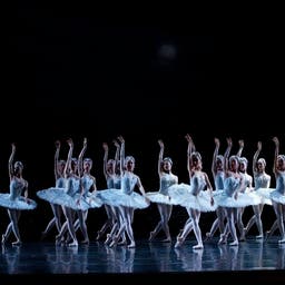 Swan Lake