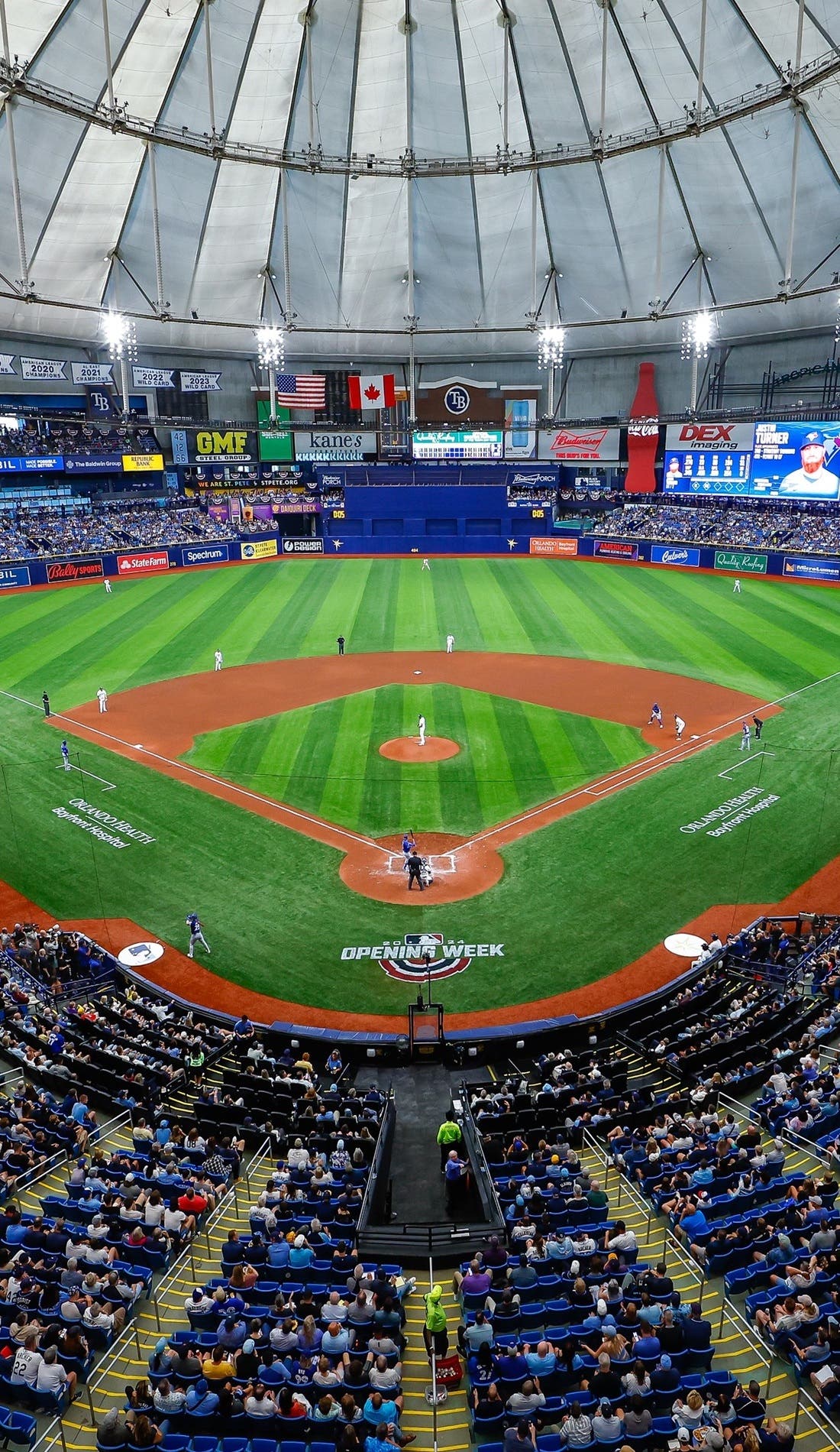 View from a seat at a Tampa Bay Rays vs Arizona Diamondbacks game, showing the teams playing