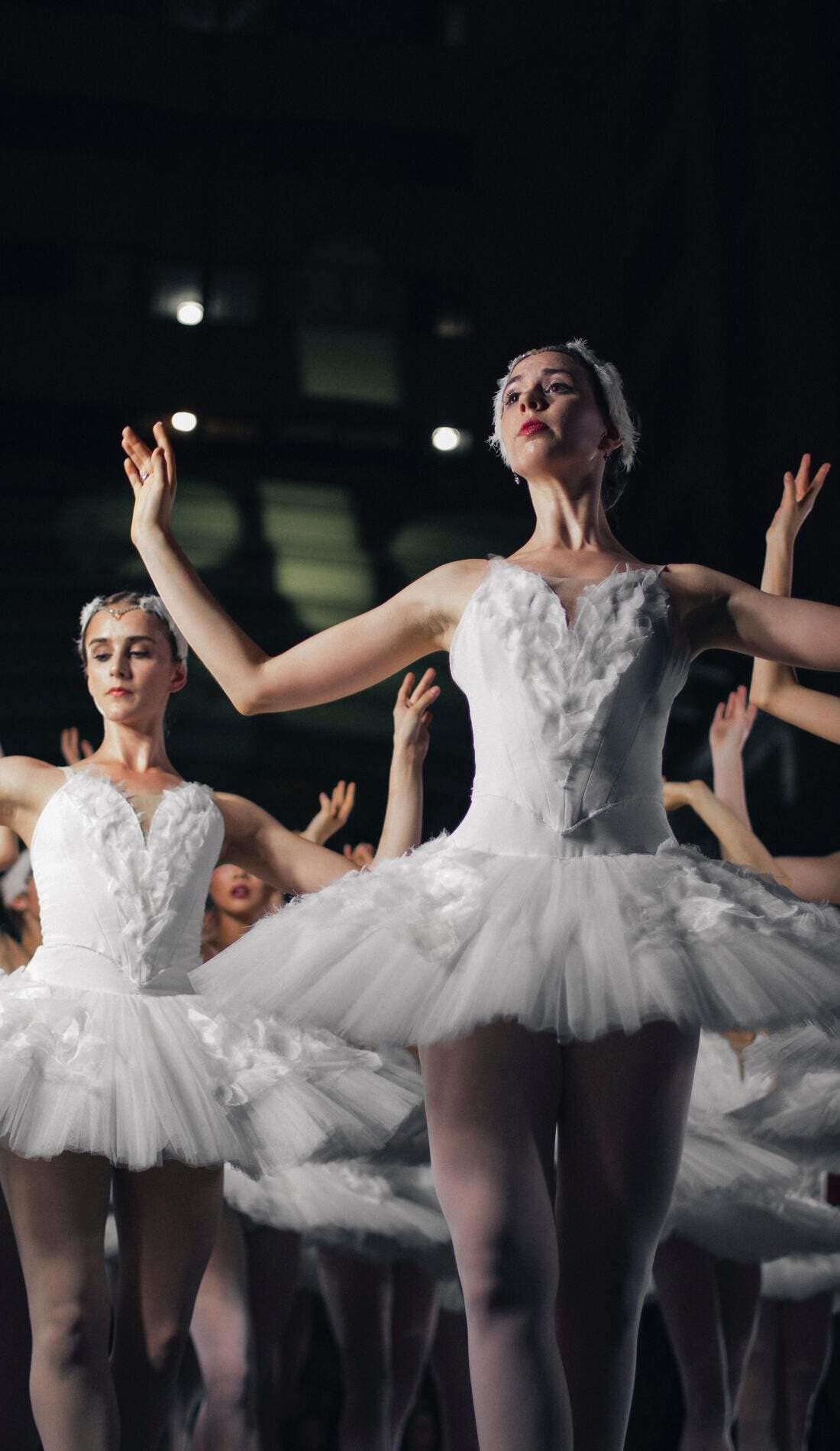 Tampa City Ballet promotional image for upcoming events and ticket sales