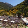 Telluride Blues and Brews Festival