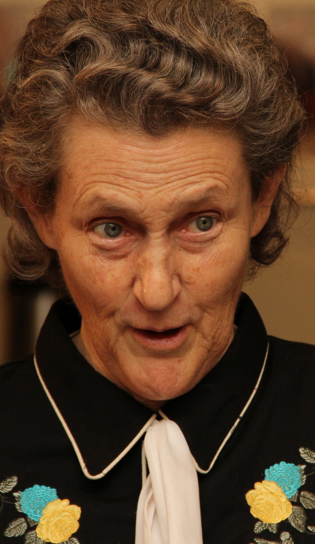 Temple Grandin promotional image for upcoming events and ticket sales