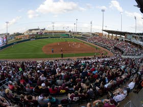Texas A&M Aggies Softball