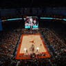 Texas Longhorns Womens Basketball