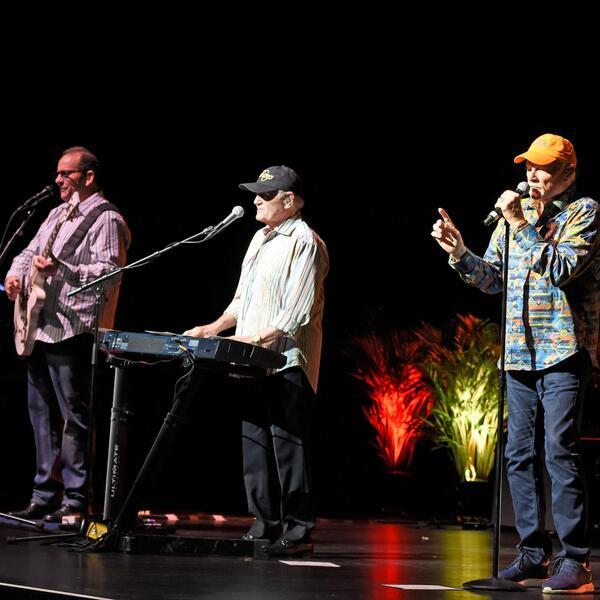 The Beach Boys image