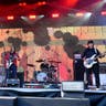 Image The Breeders