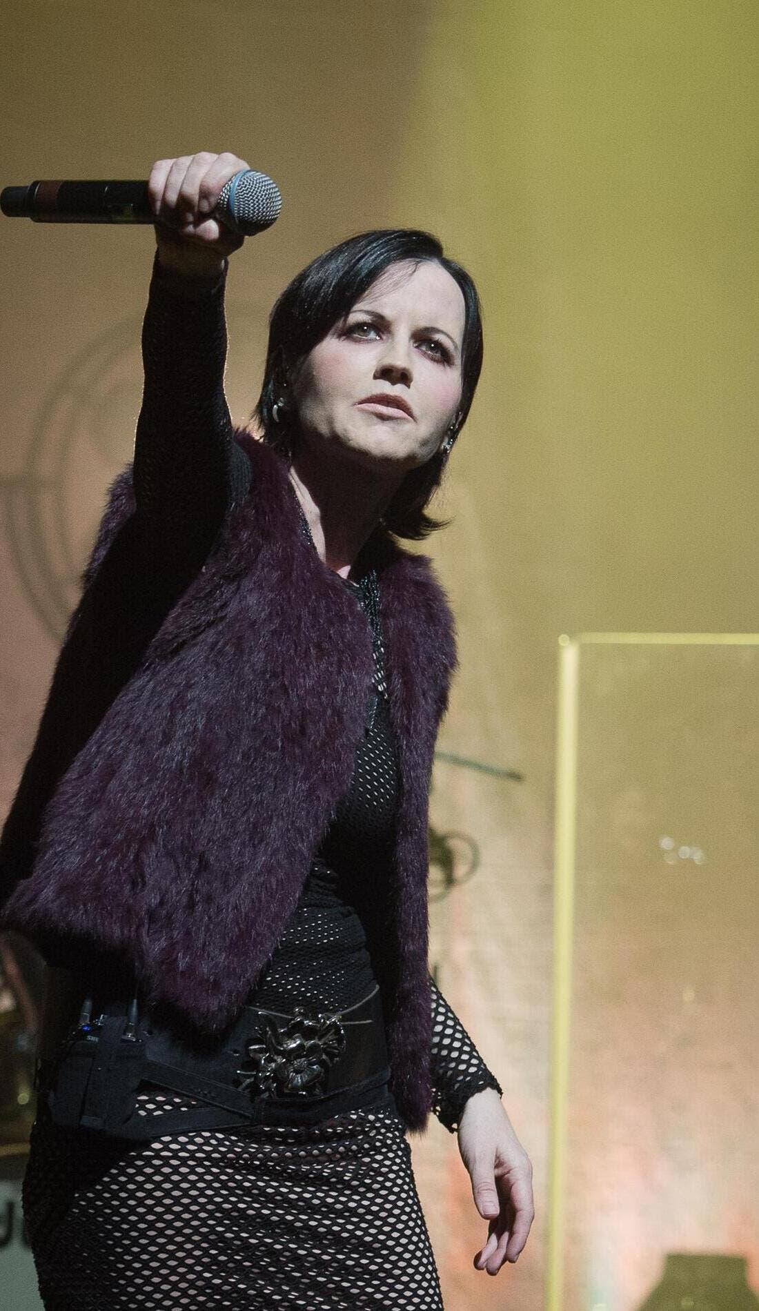 The Cranberries promotional image for upcoming events and ticket sales