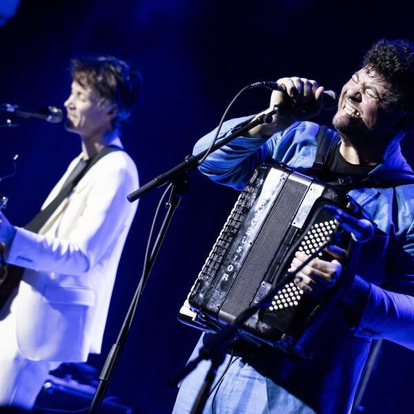 The Felice Brothers image