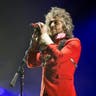 The Flaming Lips image