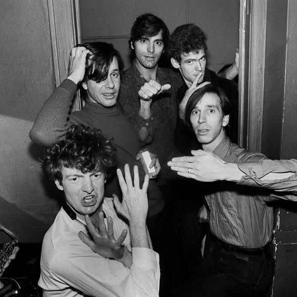 The Fleshtones image