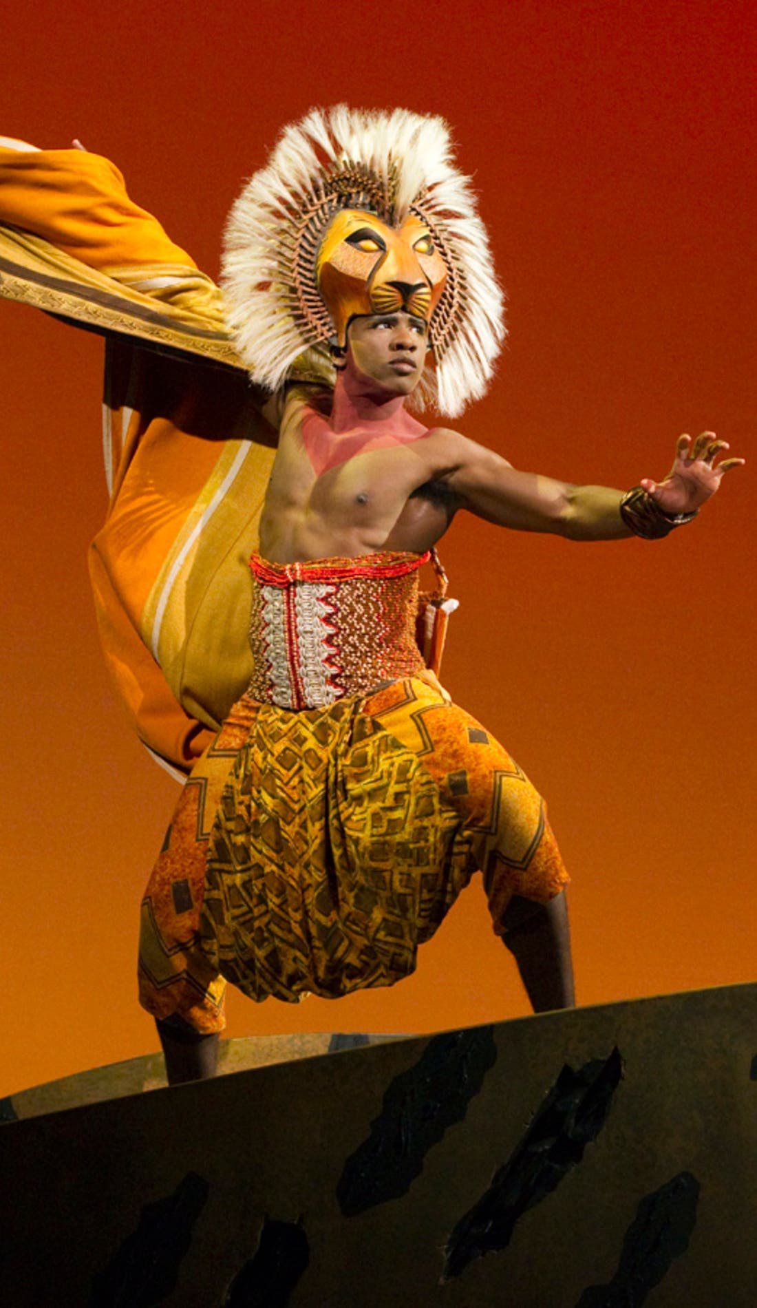 The Lion King promotional image for upcoming events and ticket sales