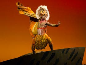 Minskoff Theatre home performer