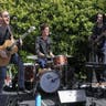 The Novelists
