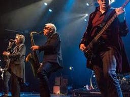 The Psychedelic Furs