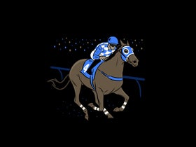 The Run for a Million - Cow Horse Challenge — South Point Arena