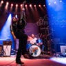 The Sheepdogs image