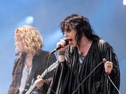 The Struts