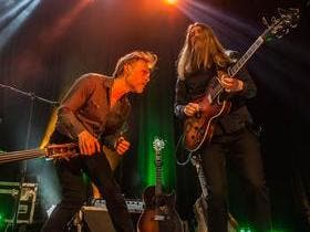 Tigre Island Room home performer