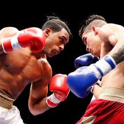 TKO Boxing