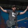 Toadies image
