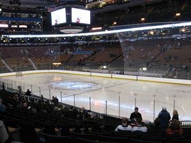 Toronto Maple Leafs