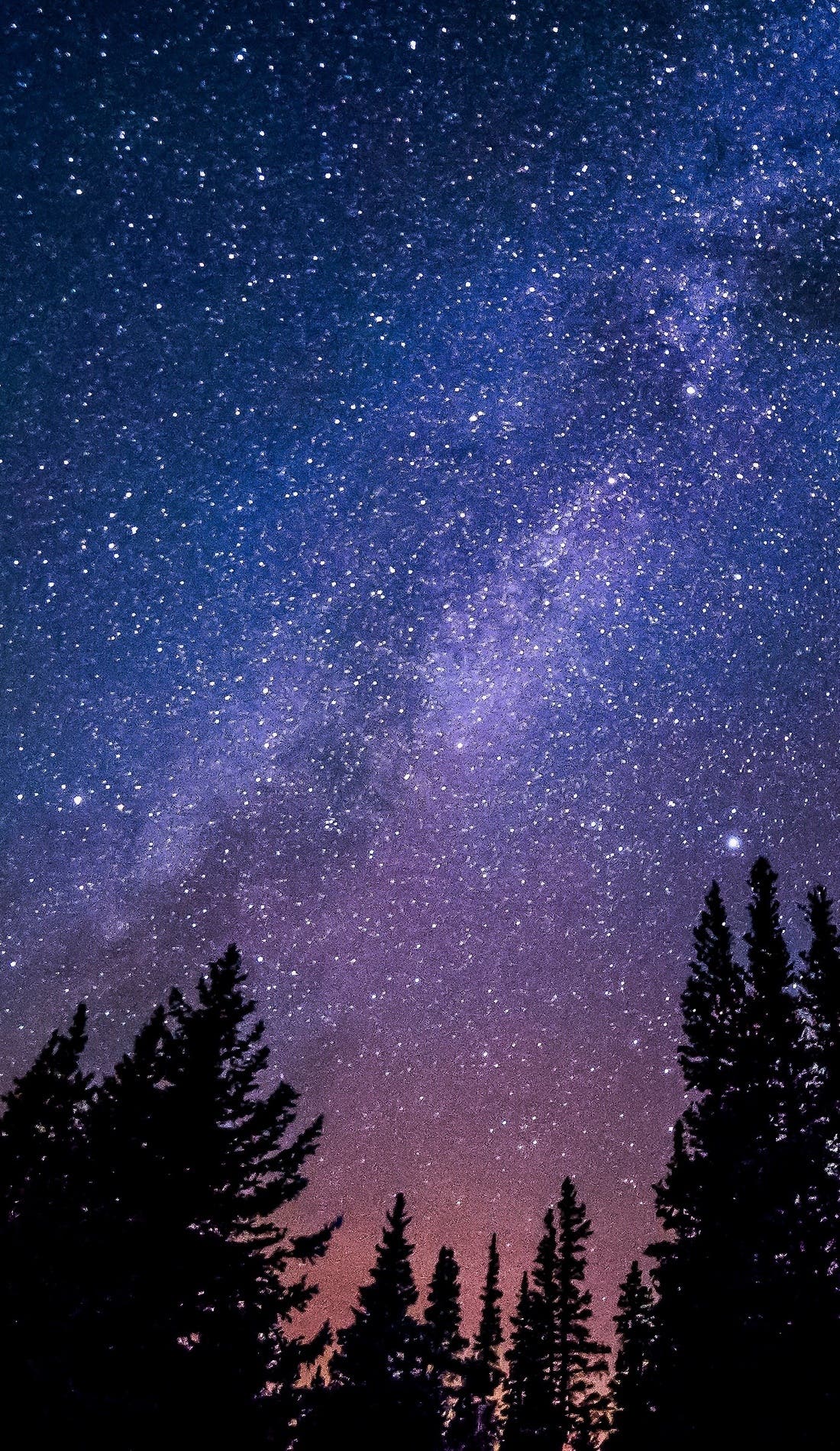 Transfigured Nights promotional image for upcoming events and ticket sales